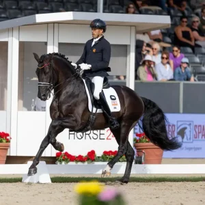 Verso de Susaeta (7 yo) & Guillermo García Ayala